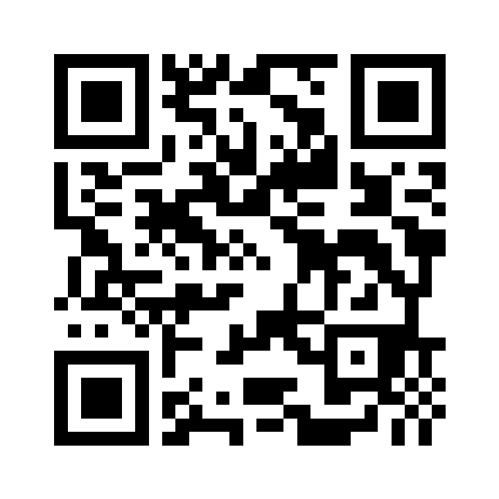 QR code per aprire pulitogarantito.net